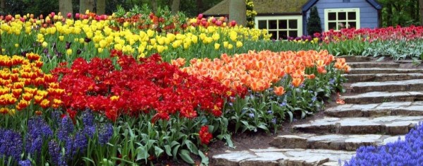 Spring garden